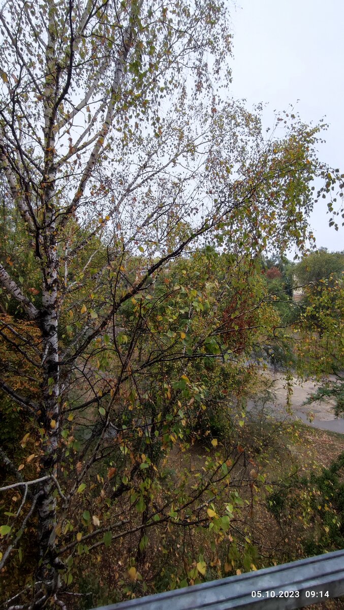 Вид с балкона. 