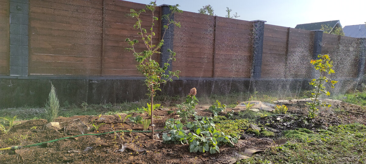 Не представляю, как бы я справлялась без автополива!