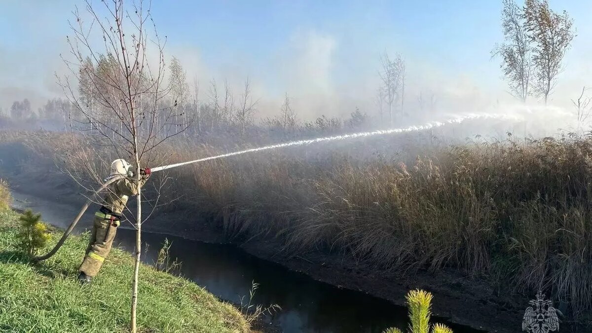     Около Тюмени горит поле. На место инцидента прибыли пять единиц пожарной техники МЧС.