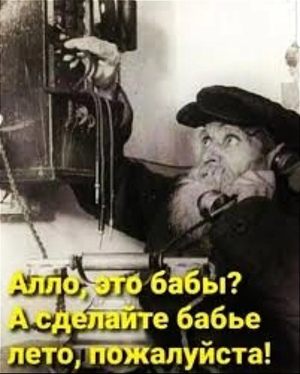 Продажи, осень и ,,за жизнь,,... | Лариса Васильева@,,Lissa,, , истории из  жизни ИПэшника . | Дзен