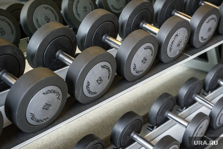 В спортивном зале штанги обручи. Производитель спортивной. Производство спортинвентаря. Штанга с пиками. Порядок грузов 6а гантели.