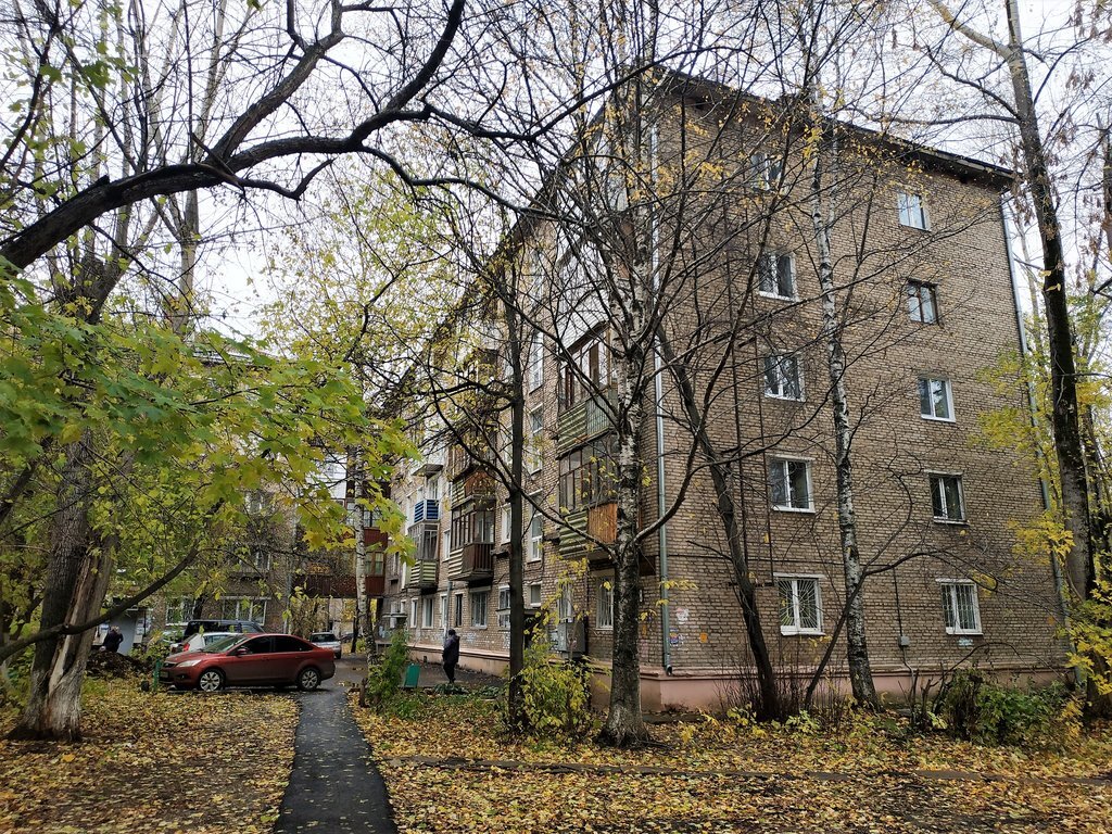 Изображение из открытых источников, но как будто фотография из нашего района