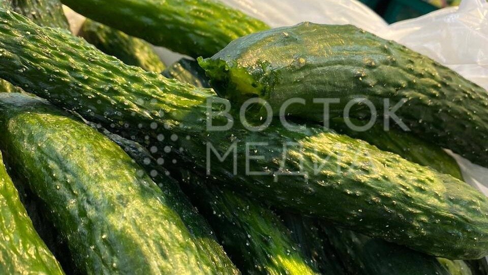     Скромная девушка разрешает ужинать ребенку немытыми овощами из торгового центра? Необычная картина была зафиксирована жителем Владивостока в популярном супермаркете в микрорайоне «Чуркин».