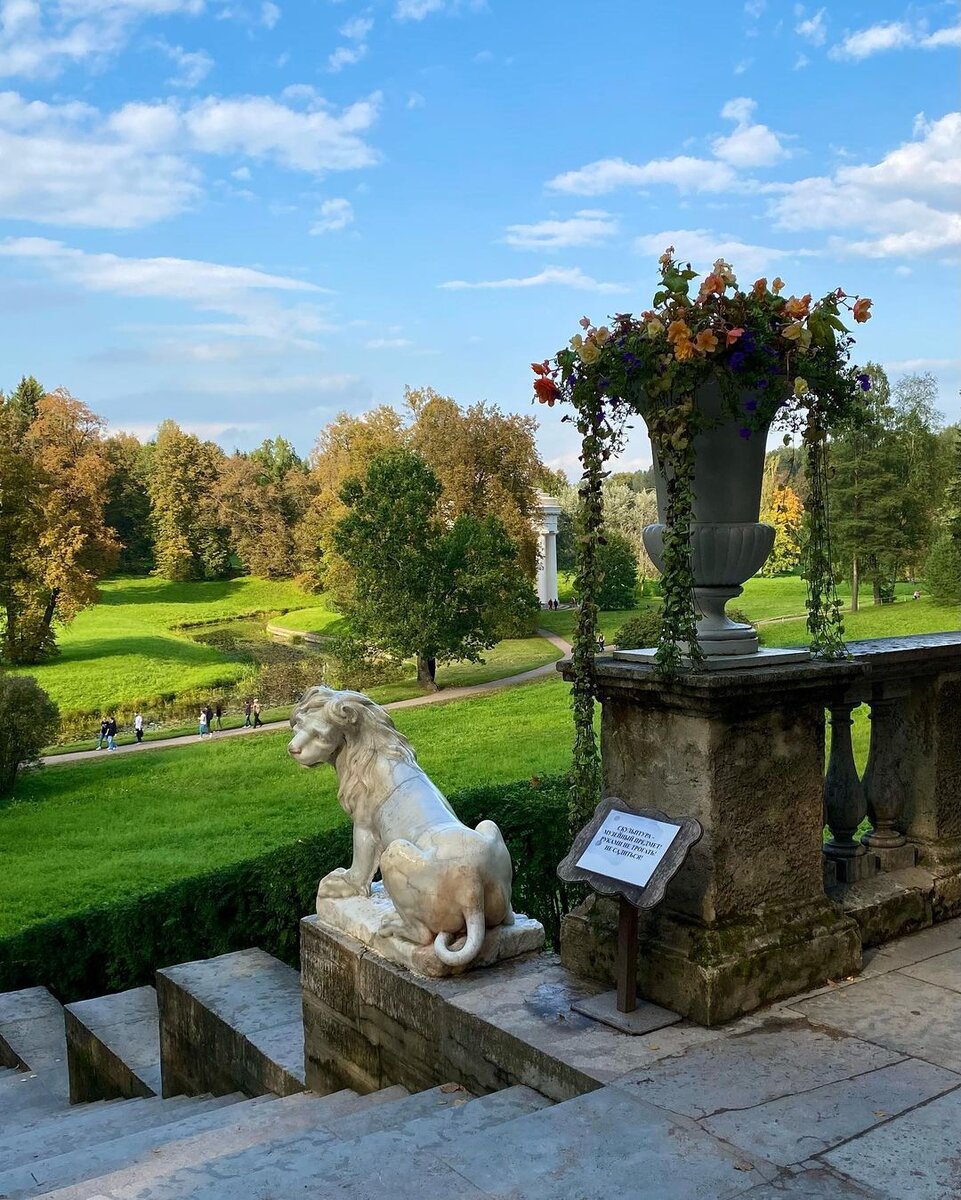 🍁 Осенняя сказка под Петербургом: прогулка с фотоаппаратом по Павловскому  парку | Путешествия петербуржца. Петербург и не только | Дзен