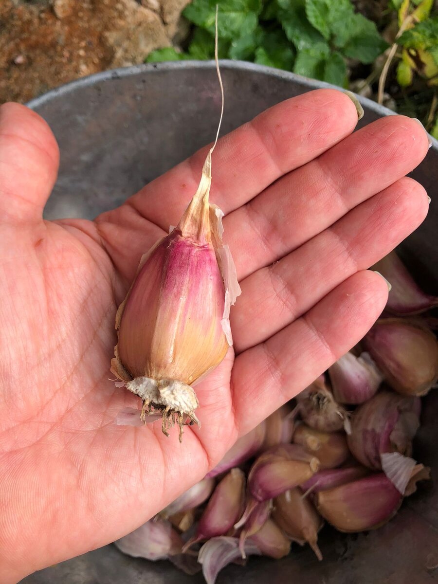 Вот такой размер - самое то ;)