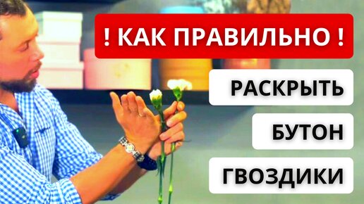 ✅ КАК ПРАВИЛЬНО РАБОТАТЬ С ГВОЗДИКОЙ (ДИАНТУС)? Как подготовить и качественно выставить гвоздику?