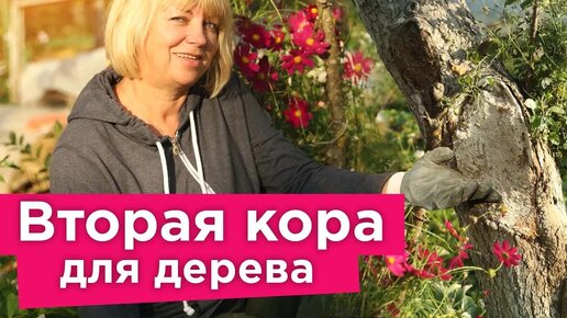 Как вылечить рану на дереве? Готовим своими руками целебную замазку для больших ран и дупел