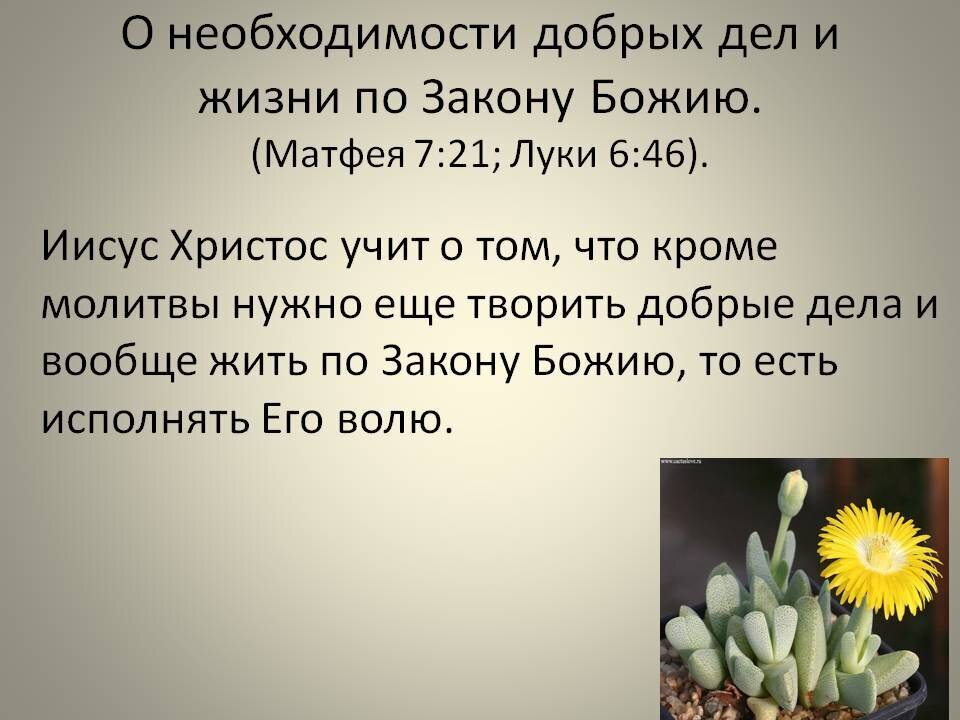 Из Яндекса.