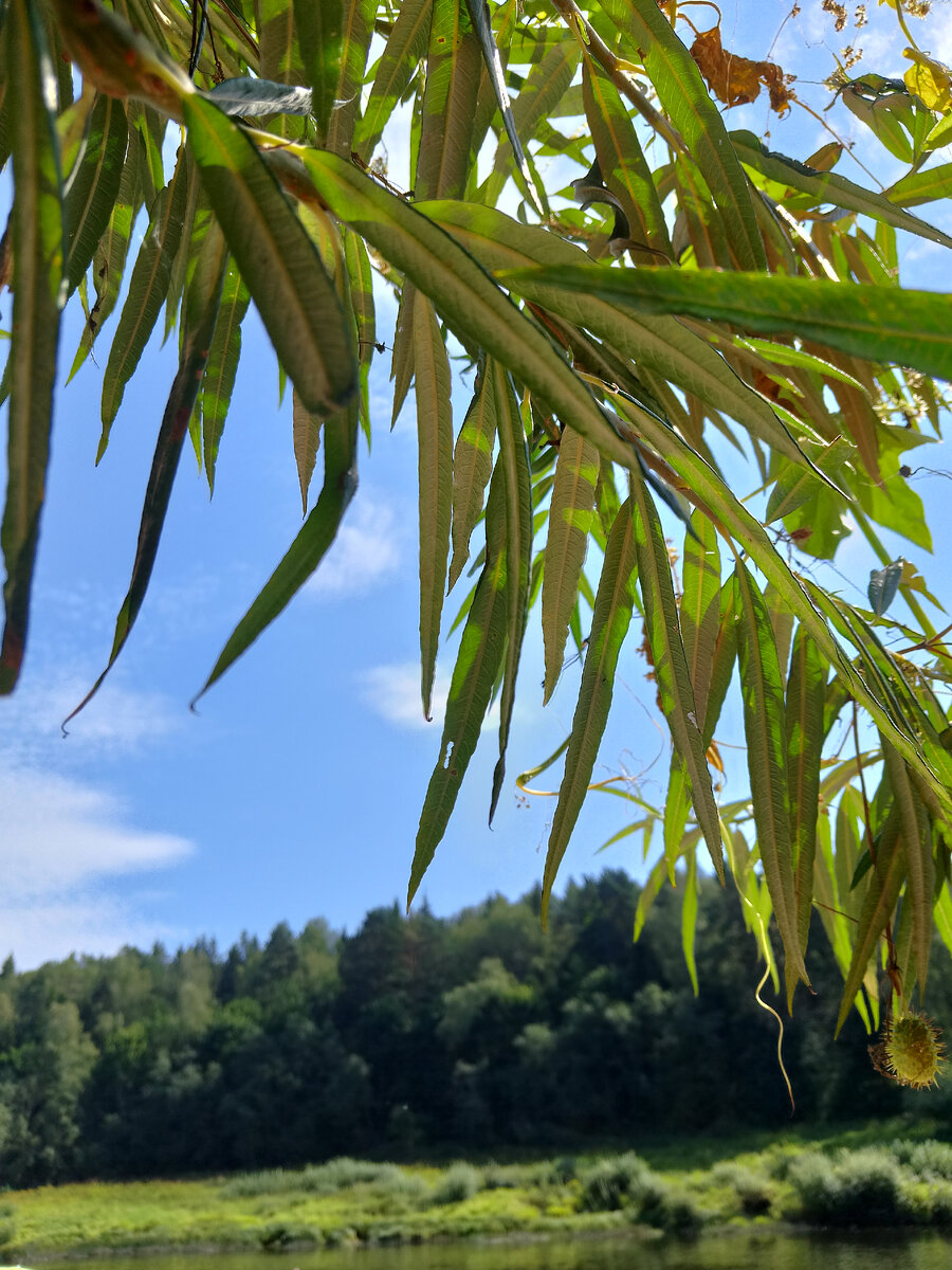 Почти Мальдивы