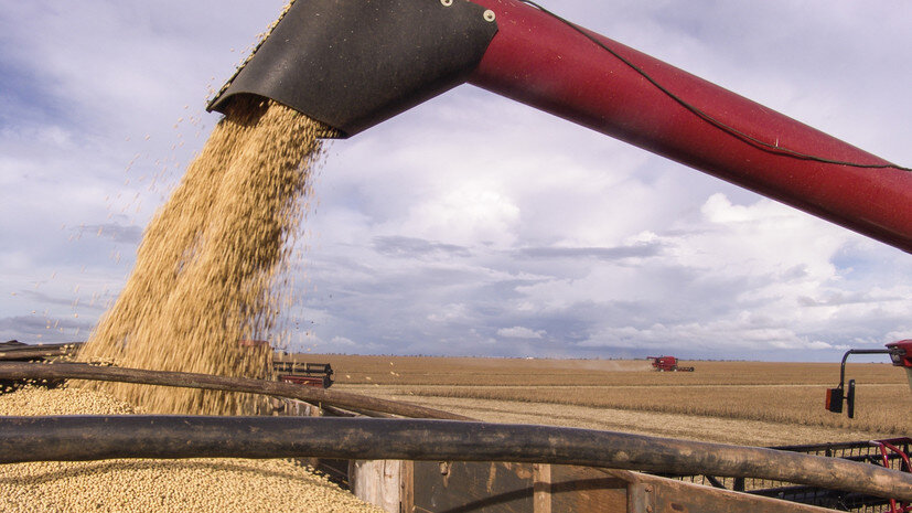   Gettyimages.ru alffoto