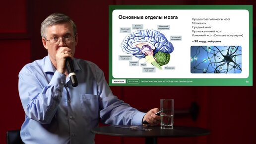 Вячеслав Дубынин о том, как заставить мозг работать эффективнее