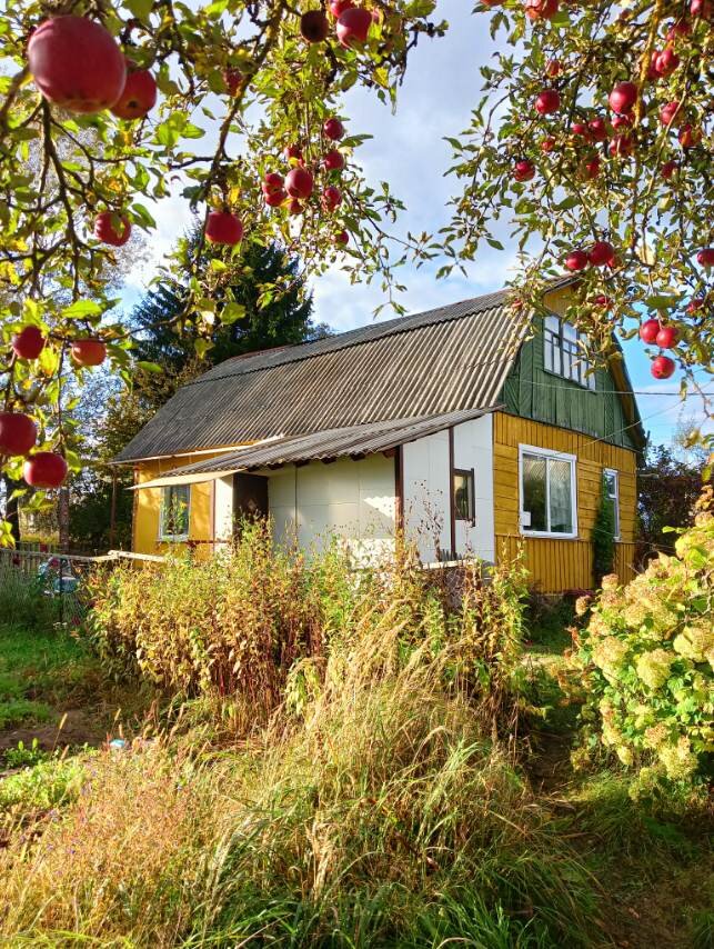 Фото автора 