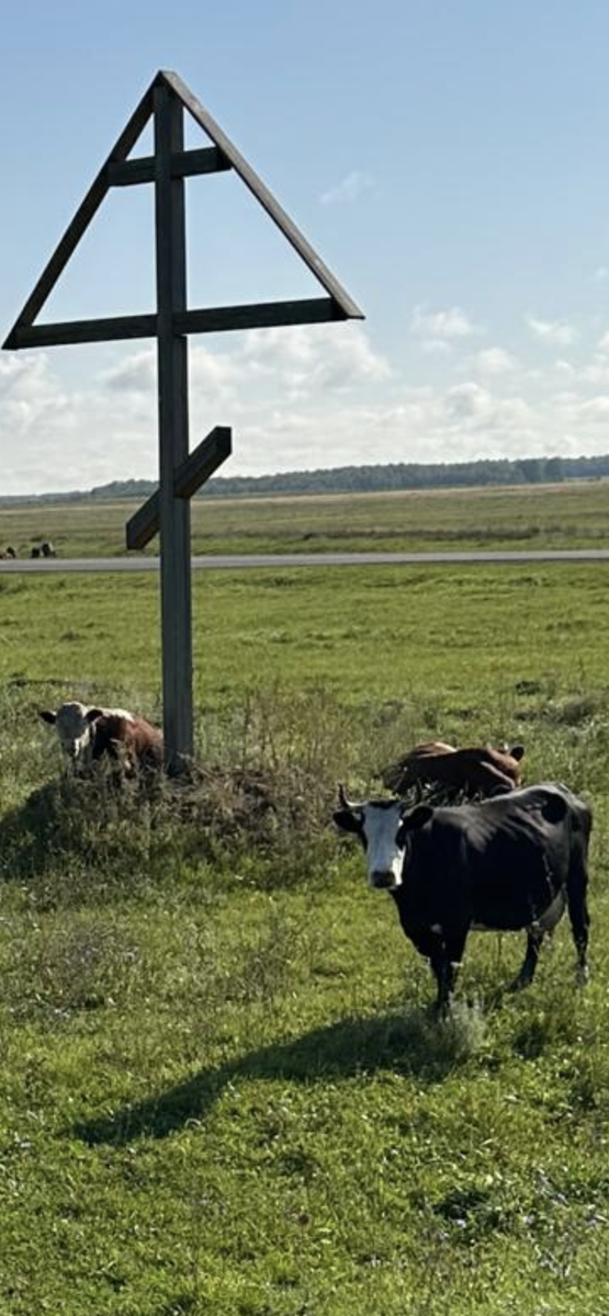 Фото автора.