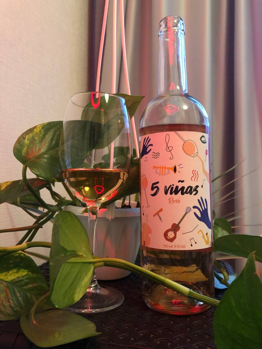 5 Vinas 