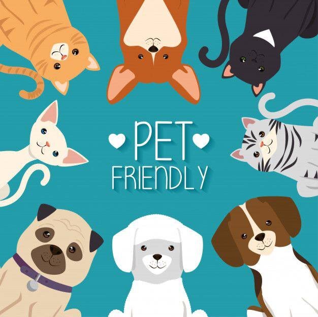 Источник: Pinterest