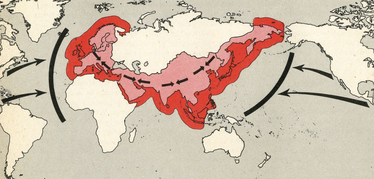 Римленд это. Концепция «хартленд-римленд». Хартленд и римленд на карте. Геополитика римланд. Карта хартленда.