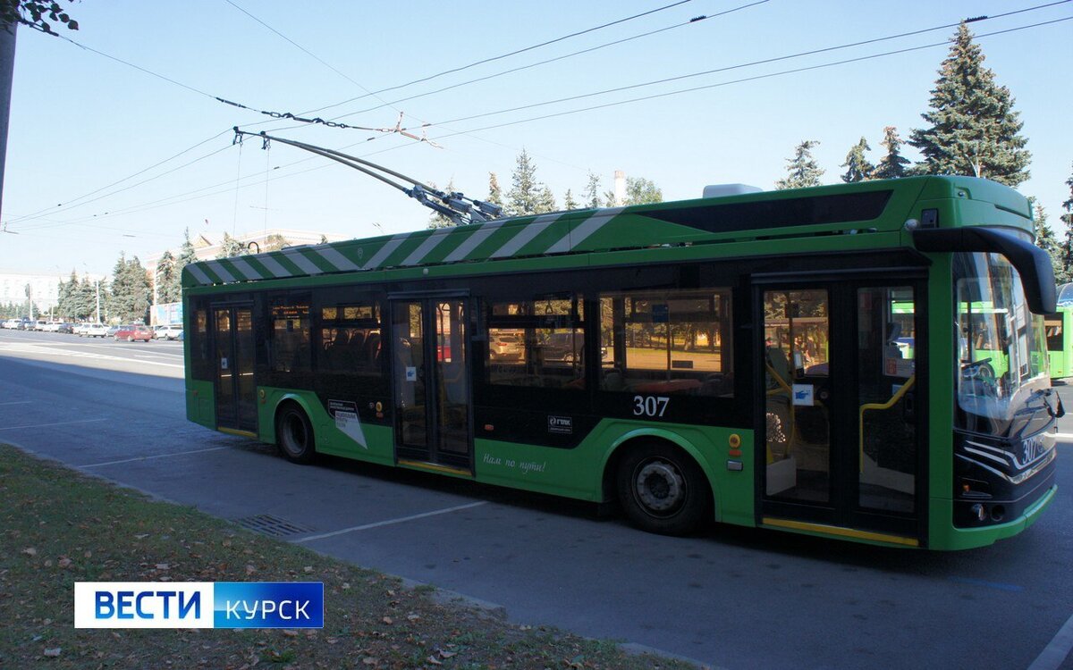    В Курске открыто около 100 вакансий водителей нового общественного транспорта