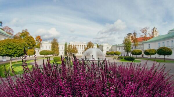    © Photo : Social media page of LRP