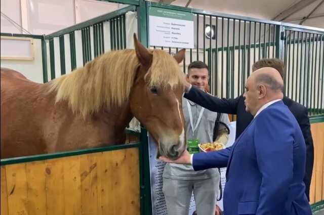    Фото: Кадр из видео