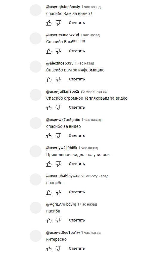 Скриншот с Youtube-канала alisaxuexi. 
