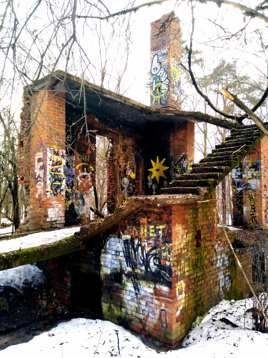 🤔🌳  Северная, подмосковная часть Химкинского лесопарка  между > Каналом им. Москвы  > Октябрьской ж/д  >  и Мкад. / Легендарная Бандитка /  > На фото по нашей версии - Развалина-Руина > дача знаменитого Архитектора - ВЯЧЕСЛАВА КОНСТАНТИНОВИЧА ОЛТАРЖЕВСКОГО...!!! ⬇️⬆️❗