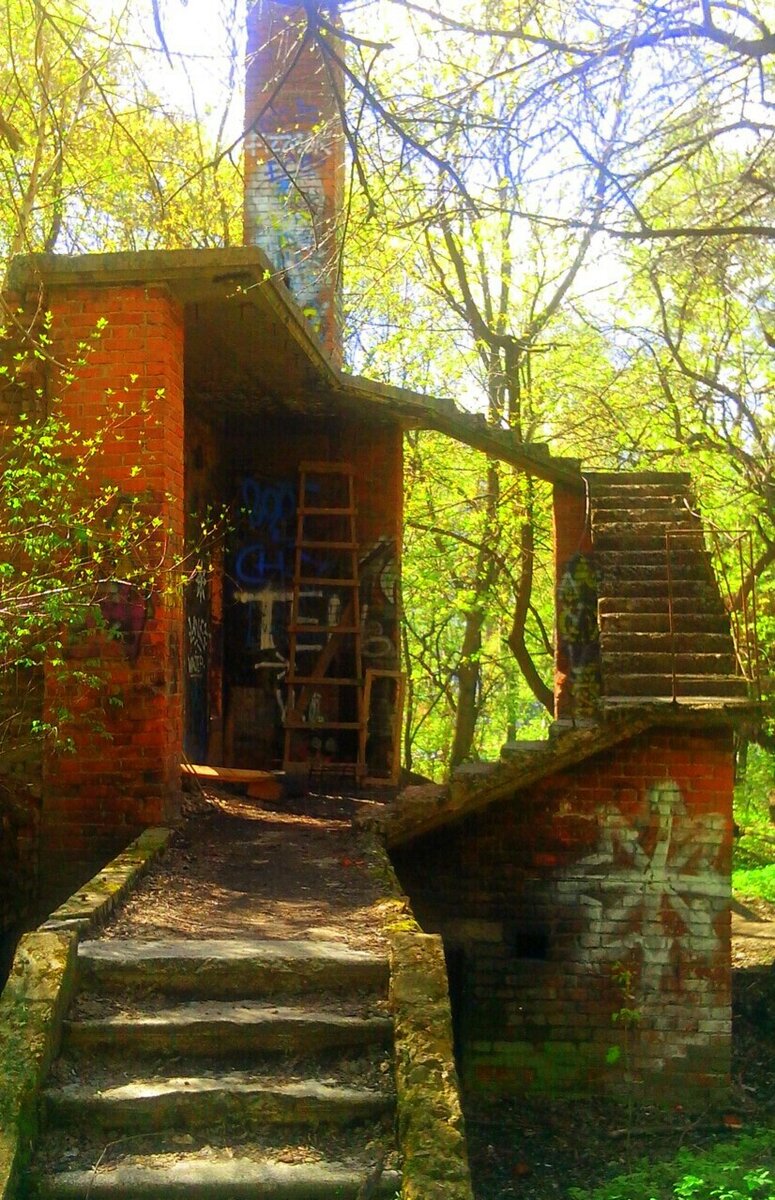 😃⛵🎥 СеверОК ТВ ❗ЗАГАДКА ЛЕГЕНДАРНЫХ РАЗВАЛИН В ХИМКИНСКОМ ЛЕСОПАРКЕ... 🌳  ⬇️ 🎞️🌲 | СеверОК ТВ | Дзен