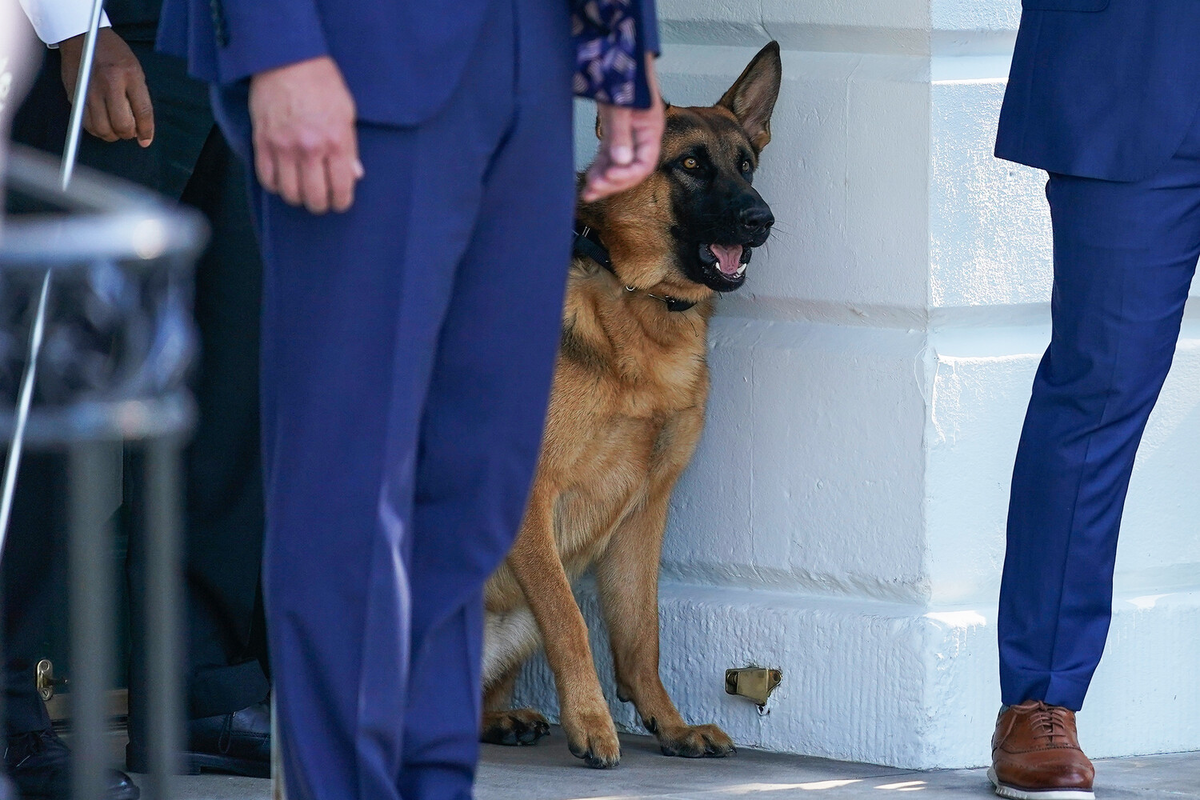 Фото: Pablo Martinez Monsivais/AP 