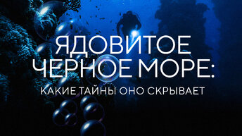 Ядовитое Черное море: какие тайны оно скрывает