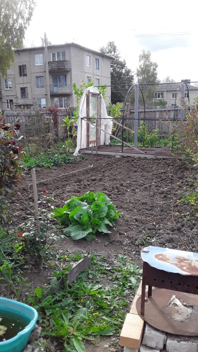 Вот она, красотка.