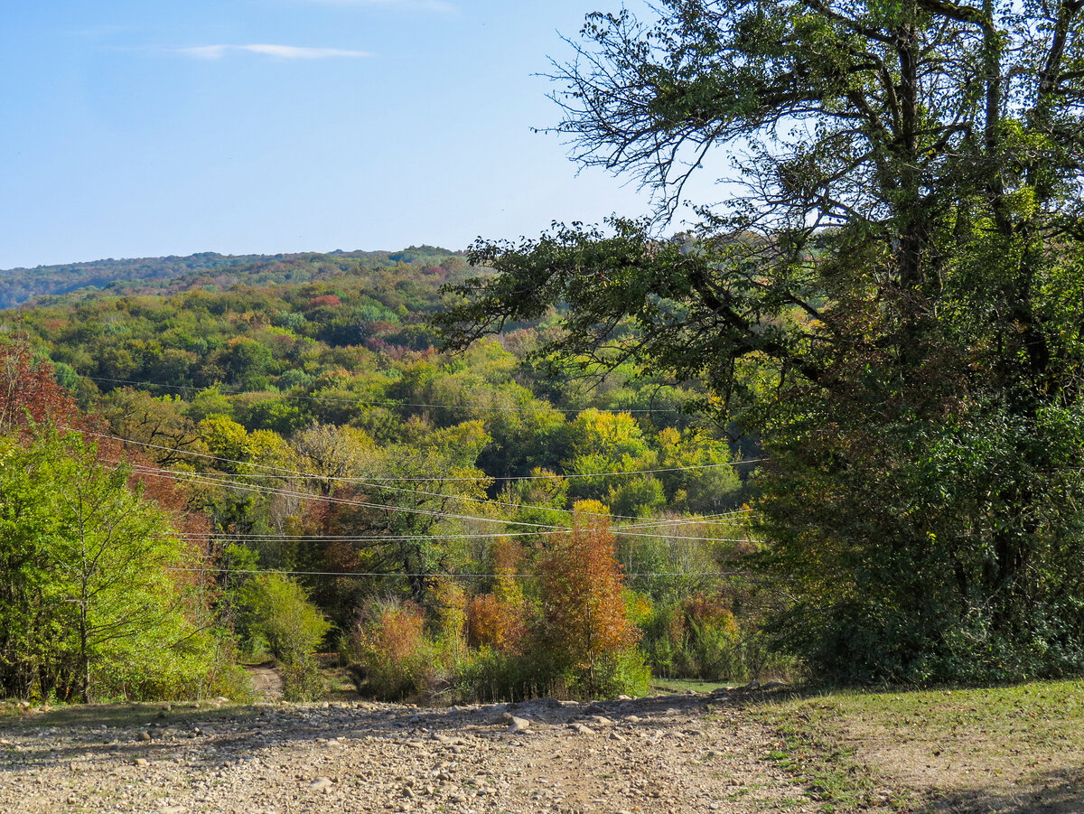 Спуск с дороги к гроту древнего человека. Ориентир - уходящие вниз провода ЛЭП. 
