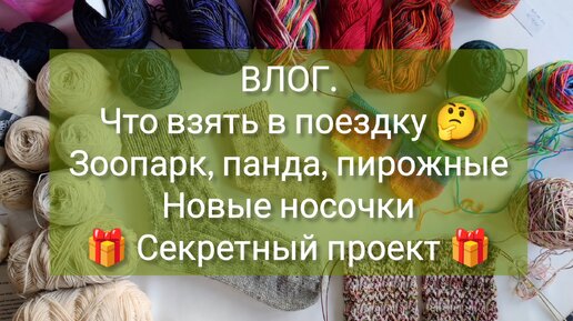 ВЛОГ Что взять в поездку 🤔 Зоопарк, панда, пирожные. Готовые носочки 🎁 секретный проект 🎁