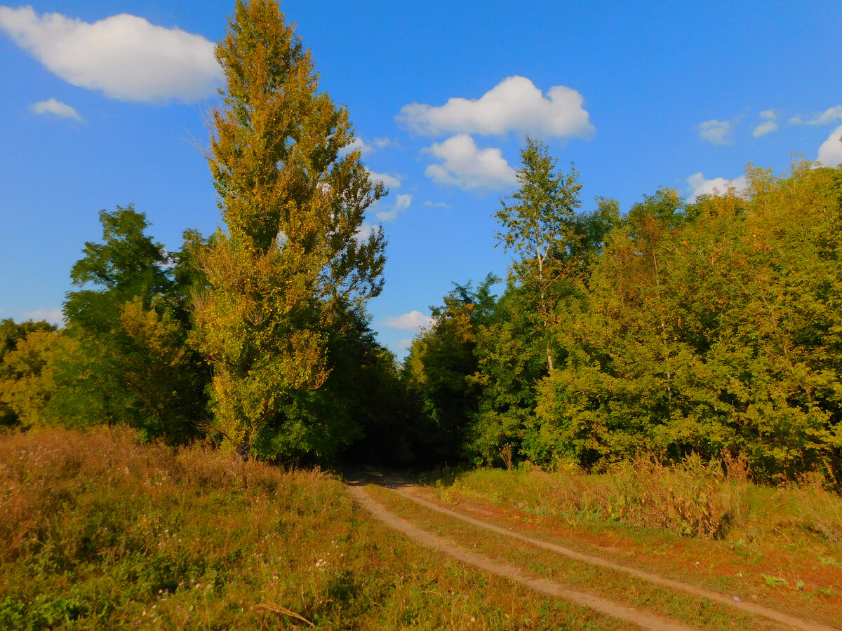 Фото автора канала