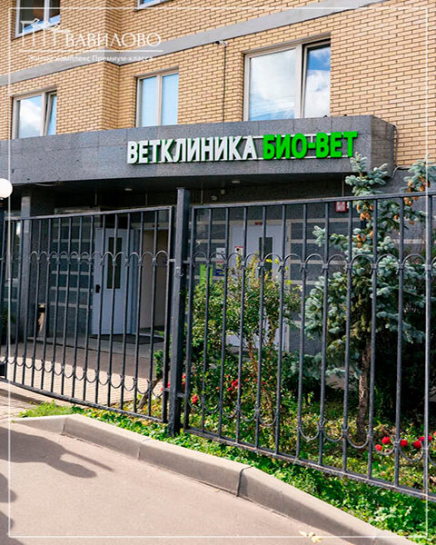Биовет беляево - найдено 82 фото
