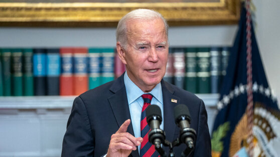    Байден заявил, что не верит в эффективность пограничной стены Анна Белая