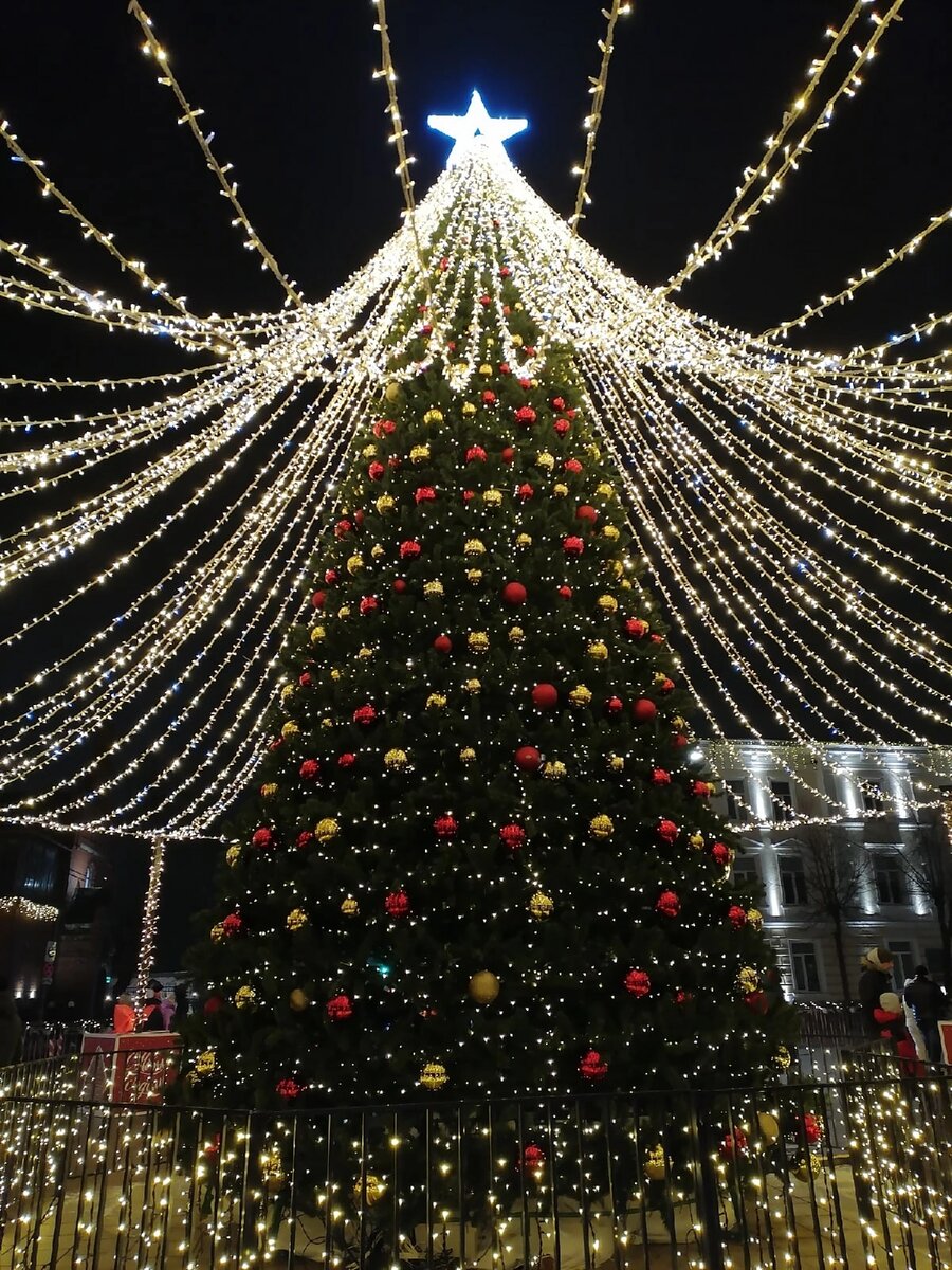 Ель на центральной площади