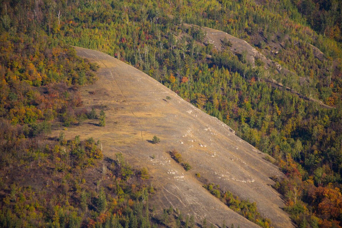Гора шишка Самарская лука