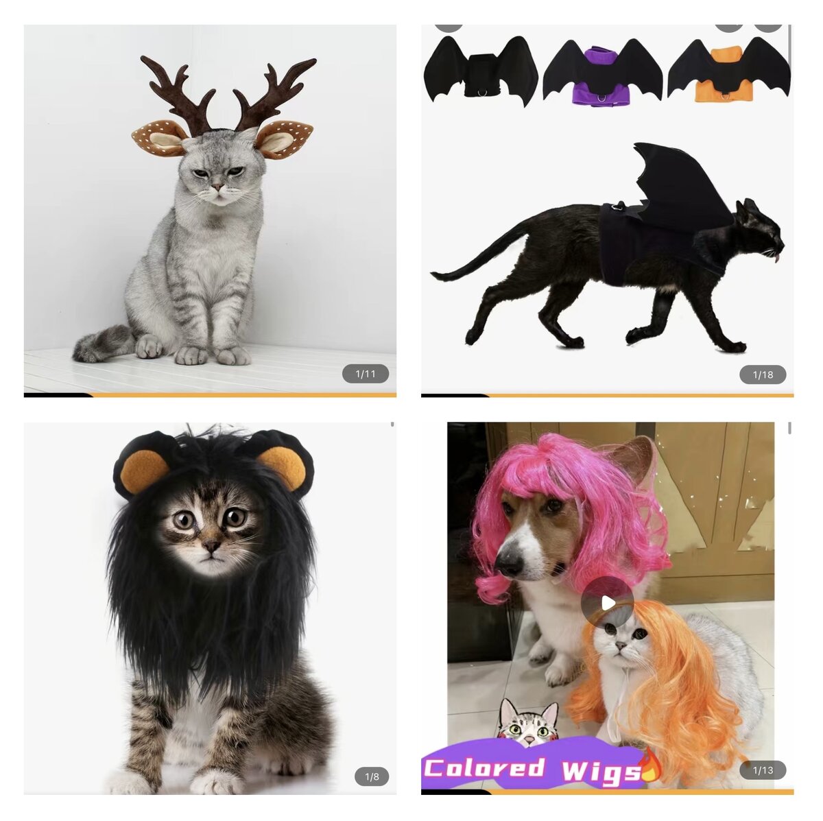 Костюмы для кошек. Фотографии из от открытого источника.  