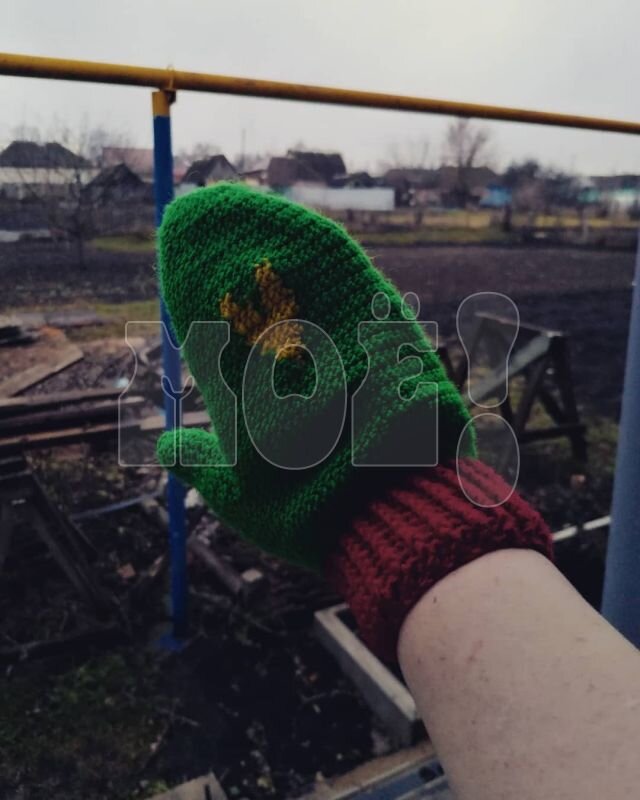    Фото: Дарья Гурова