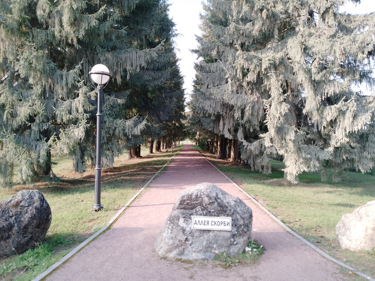 "Аллея скорби". Фото автора.