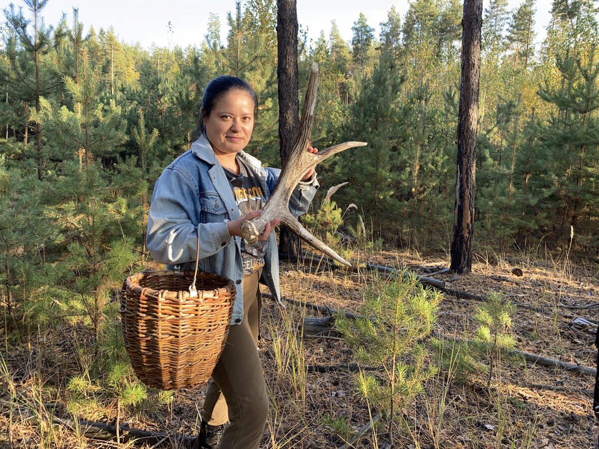 Идёшь за грибами, а тут другой дар леса - "вешалка". Лосяш сбросил ненужный ему аксессуар