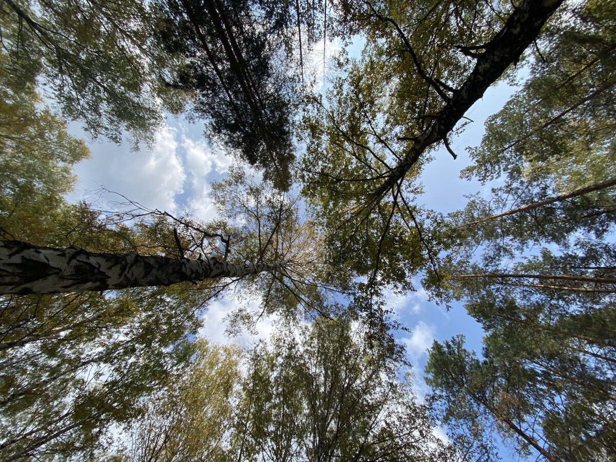 Донельзя избитый ракурс