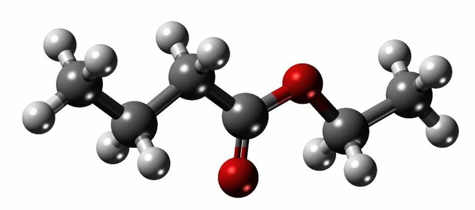 На рисунке представлена объёмная модель этилбутирата —— вещества, обладающего запахом ананаса. Палочками изображена связь между атомами, при этом чёрные шарики обозначают элемент углерод, красные —— кислород, а белые —— водород.
