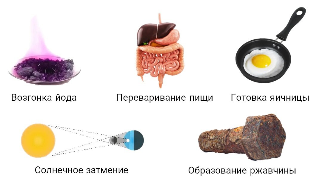 Какие изображённые процессы относятся к физическим, а какие —— к химическим?