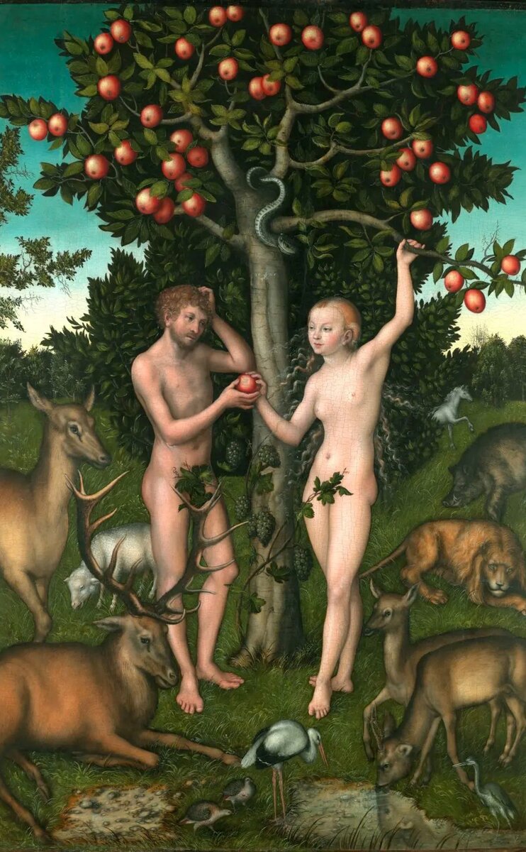 Адам и Ева
Лукас Кранах Старший
 