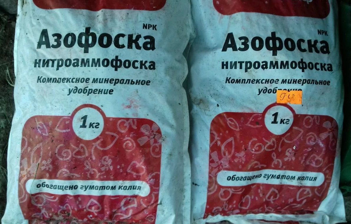 Азофоска удобрение применение для рассады. Азофоска,аммофоска удобрение. Азофоска и аммофоска. Аммофоска комплексное удобрение. Азофоска Нитроаммофоска 15 15 15.
