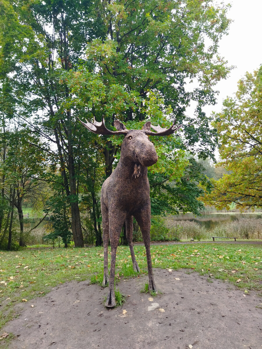 Лось в Приоратском парке