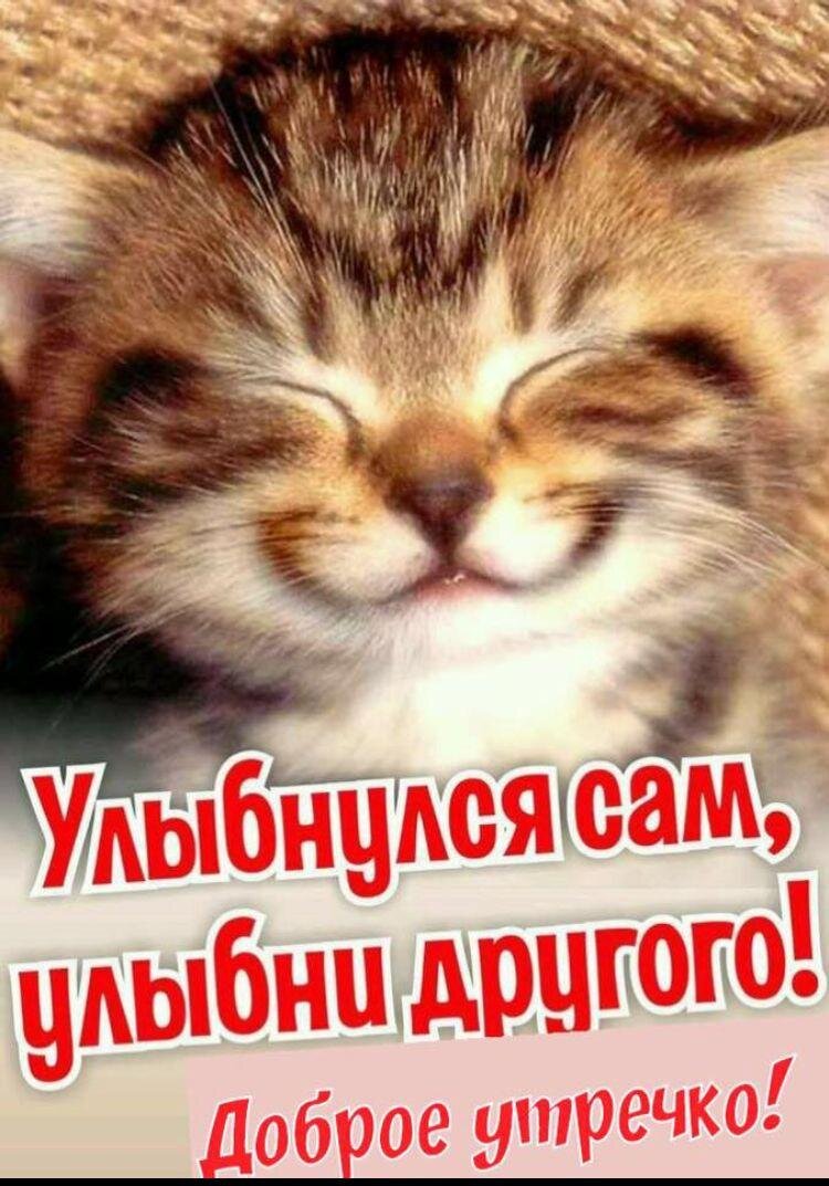 Яндекс. Открытый источник 