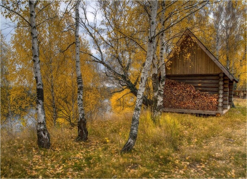 Изображение из открытых источников