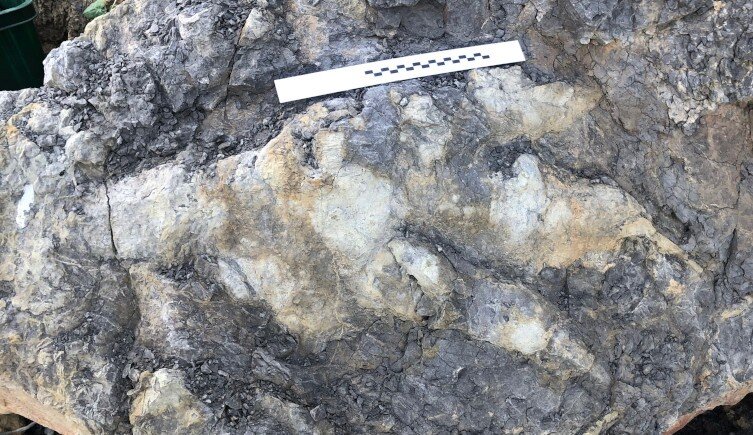 Яндекс.Картинки