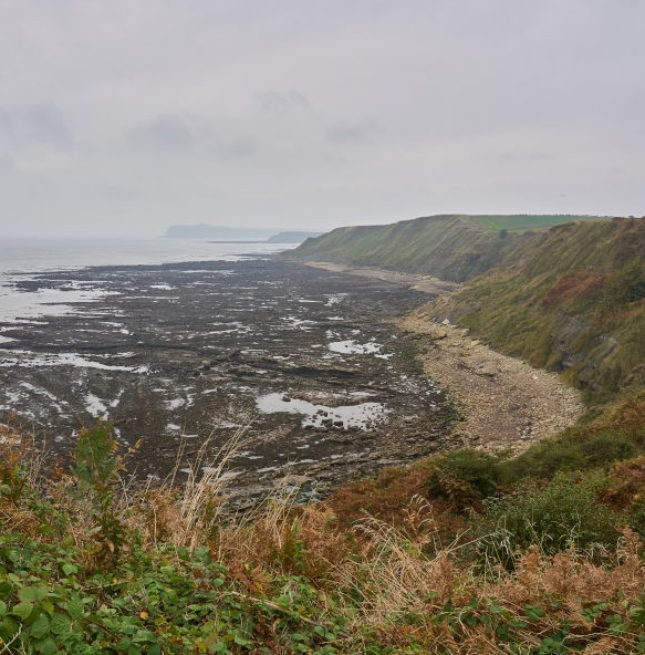 Яндекс.Картинки